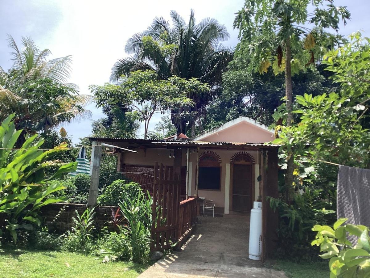 Exotic Flower Cabin2 Pool Agua Bendita Ngoại thất bức ảnh